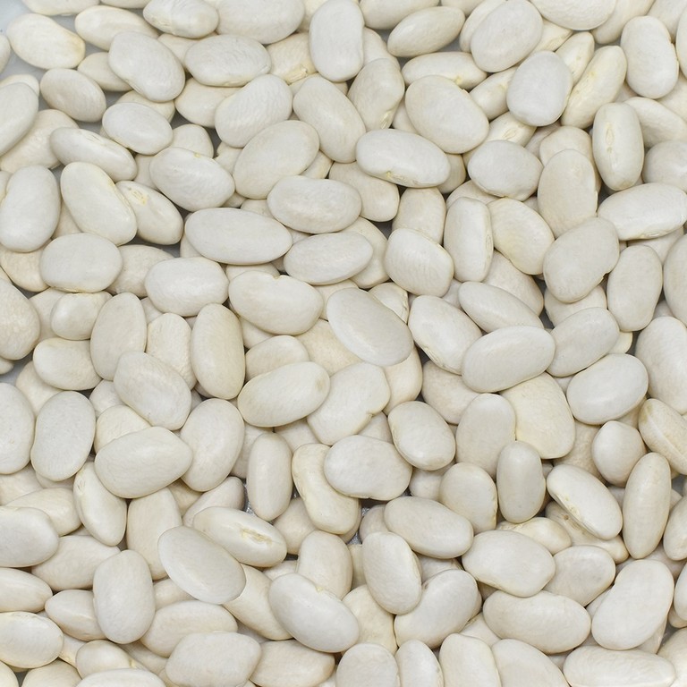 Fasülye