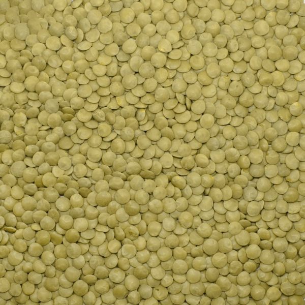 Yeşil Mercimek