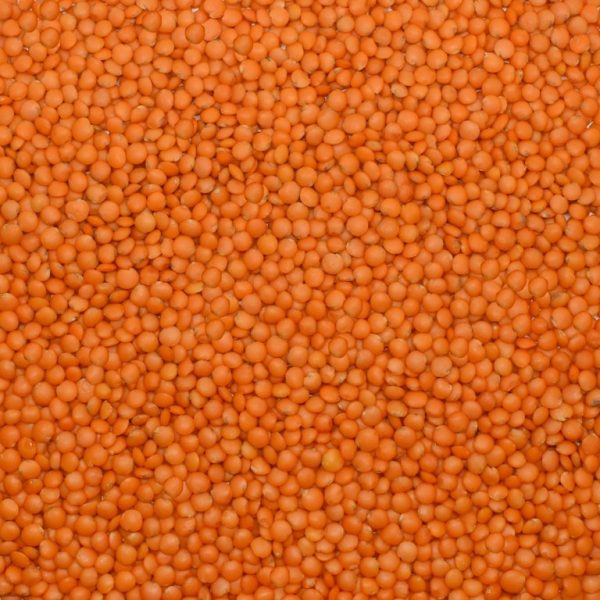 Kırmızı Futbol Mercimek